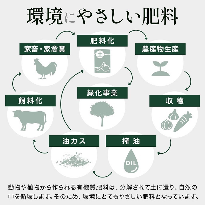 有機肥料 肥料 15kg ガーデニング 園芸 培養土 食物残渣 土 堆肥 鉢花 草花 野菜 花 果物 栽培 乾燥肥料 有機乾燥肥料 有機質肥料 園芸  :at-130837:attention - 通販 - Yahoo!ショッピング