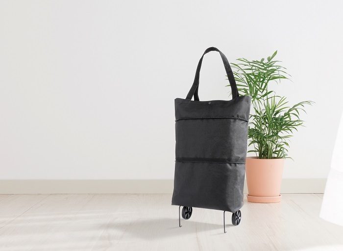 ショッピングカート 2輪 折りたたみ キャスター付き 2WAY 買い物カート