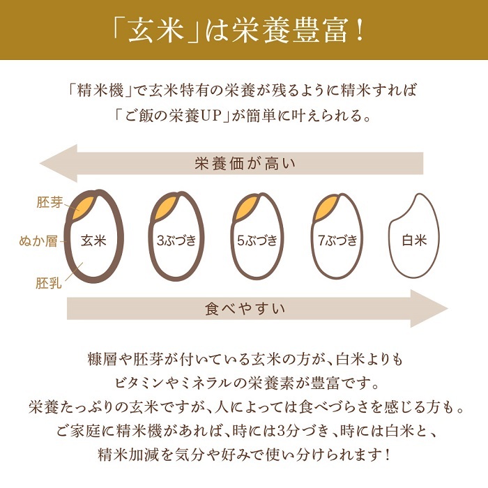 【500円オフ★LINE限定】 精米機 家庭用 小型 0.5合 〜 2合 20段階精米 コンパクト精米機 マイコン 小型精米機 COPON 玄米 白米  無洗米 米 ライスクリーナー