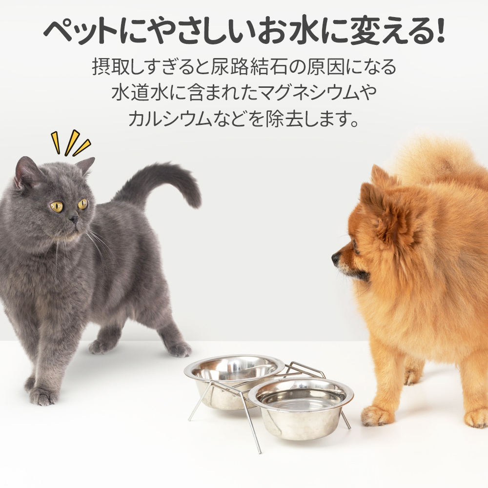 自動給水器 フィルター 6枚セット 2.5L用 給水器 湧き水タイプ 自動給水器 フィルター 6枚セット 2.5L用 給水器 湧き水タイプ