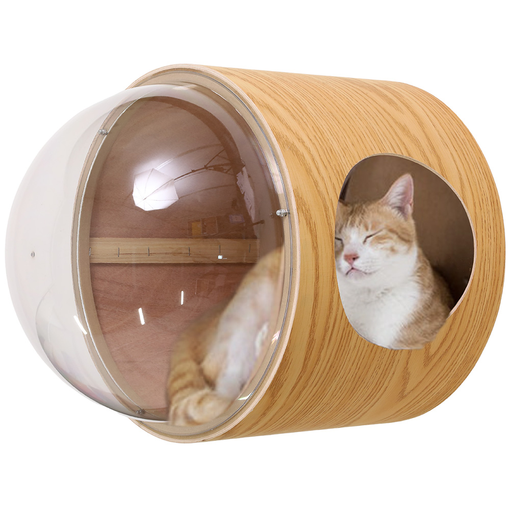 キャットハウス 木製 冬 ドーム型 宇宙船 透明 猫 据え置き 壁付け 猫