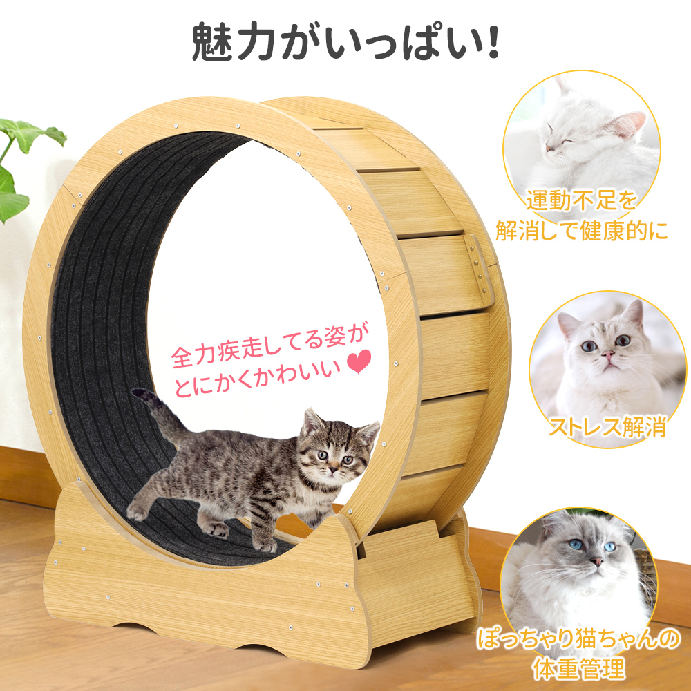 キャットホイール 安い 猫 車輪 滑車 静音 ノイズなし 運動グッズ ネコ