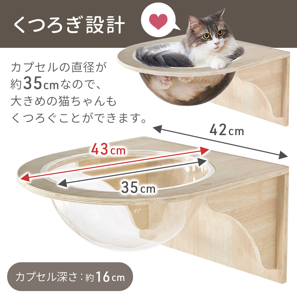 キャットウォーク キャットステップ 壁付け 透明 猫用 カプセル型 壁