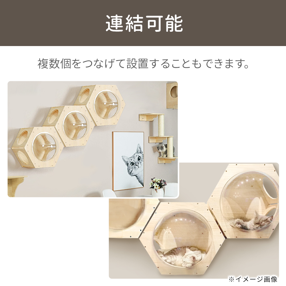 キャットステップ 壁 壁付け 猫用 ハウス ハンモック キャットウォーク