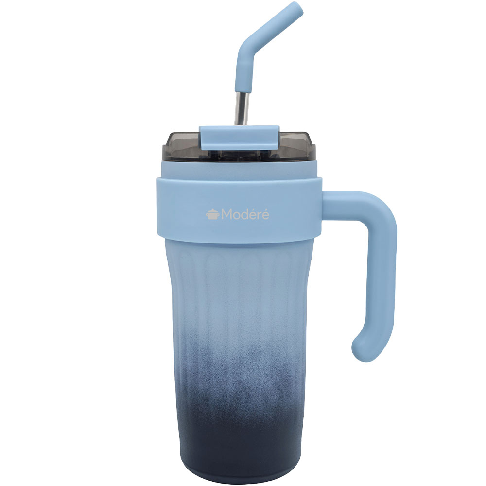 ヒロ・コーポレーション タンブラー 持ち運び ストロー付きタンブラー