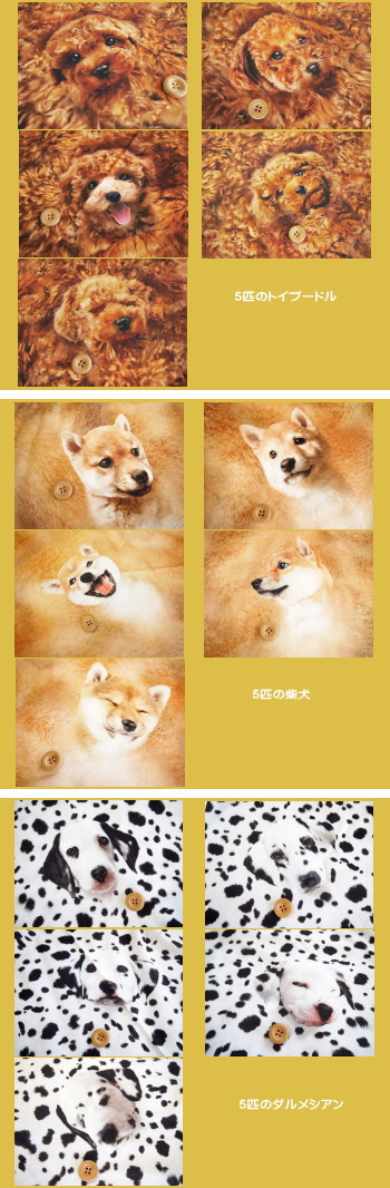 ○WHAT do you make?/トイプードル・柴犬・ダルメシアン柄の生地/5匹の
