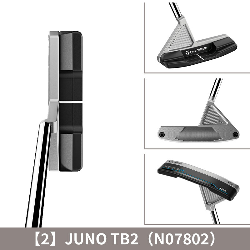 TaylorMade（テーラーメイド） 【即納】 右打用 システム2 トラス