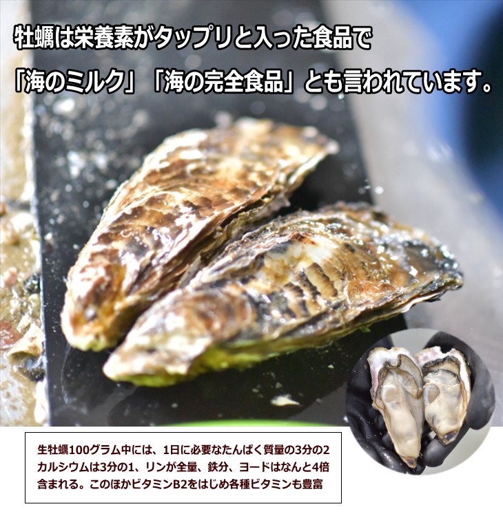 牡蠣の特徴