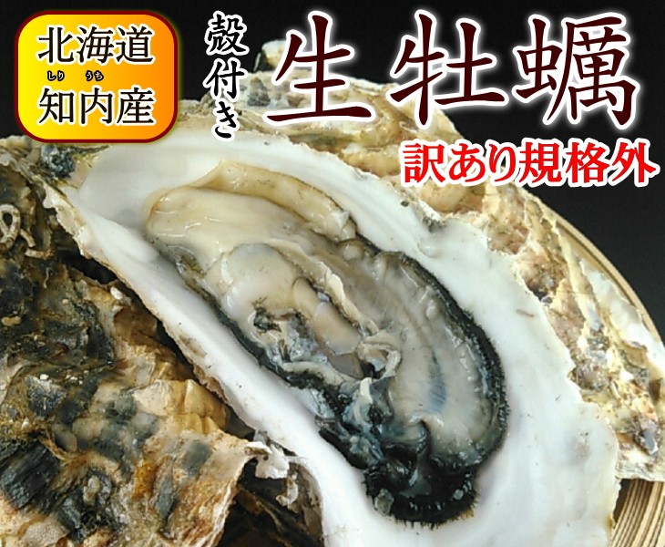 知内産牡蠣