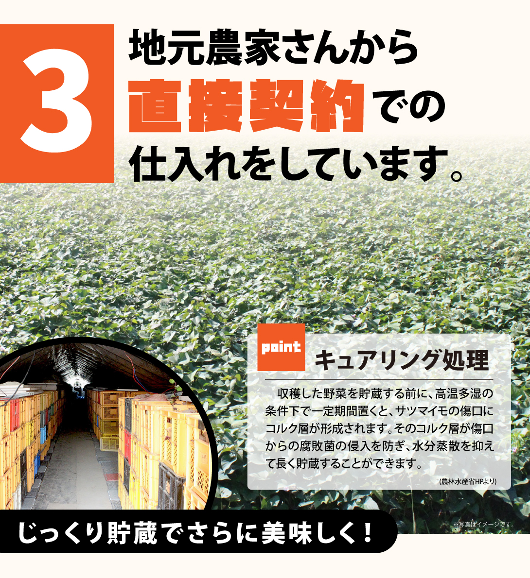 干し芋