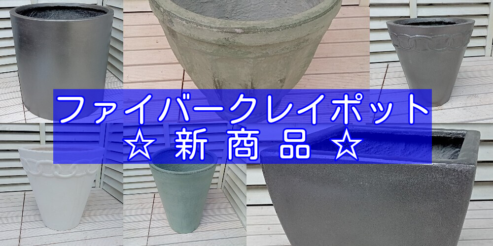 ガーデン屋 Yahoo!店 - Yahoo!ショッピング