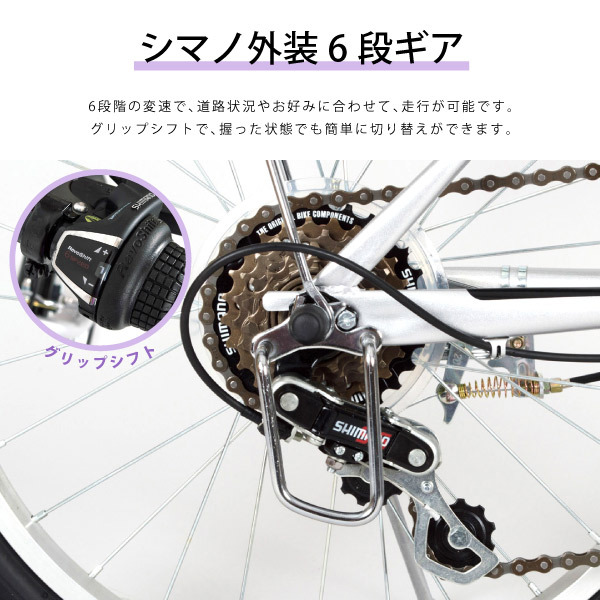 アクティブ911 折り畳み自転車 ACTIVE911ノーパンクFDB206S MG-G206N
