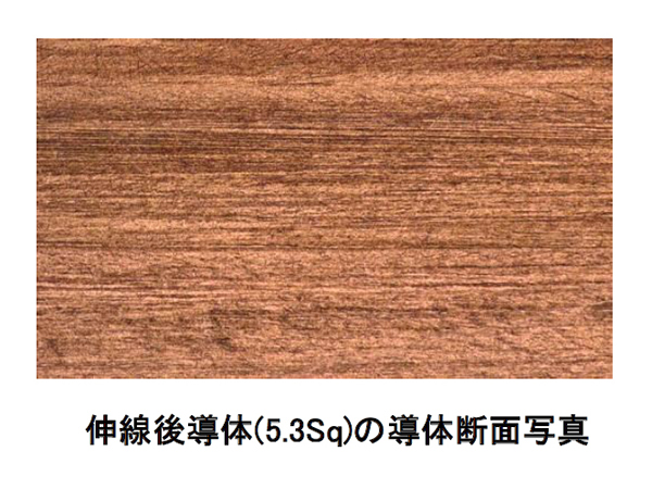 The Empire Plus イメージ02