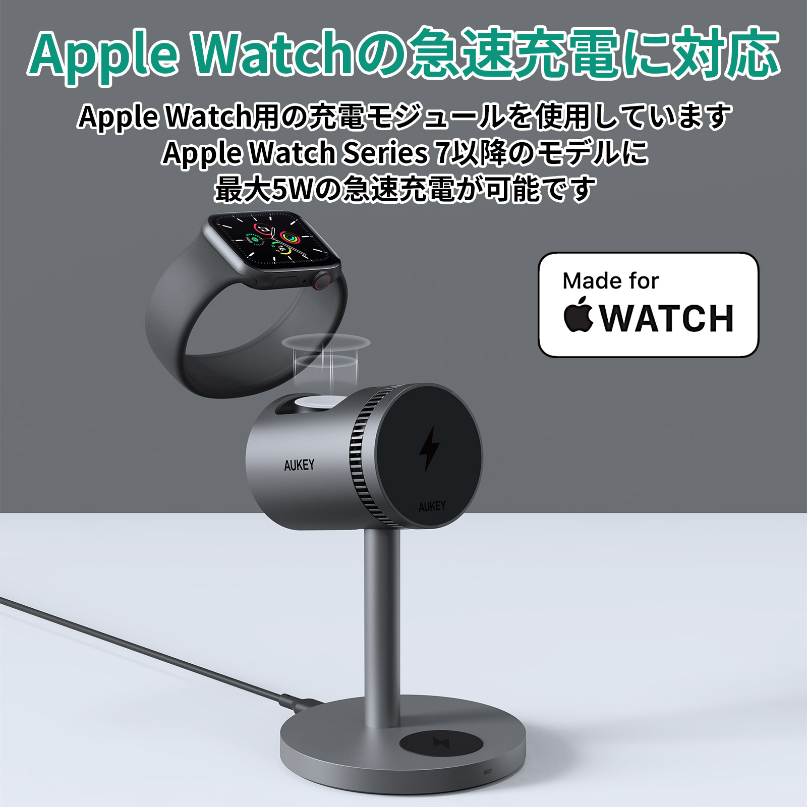 アリオンマグ　al13専用品　連絡いただいている方以外の購入お控えください Amazon | ELITE(エリート) ARION MAG(アリオンマグ) 3段階負荷