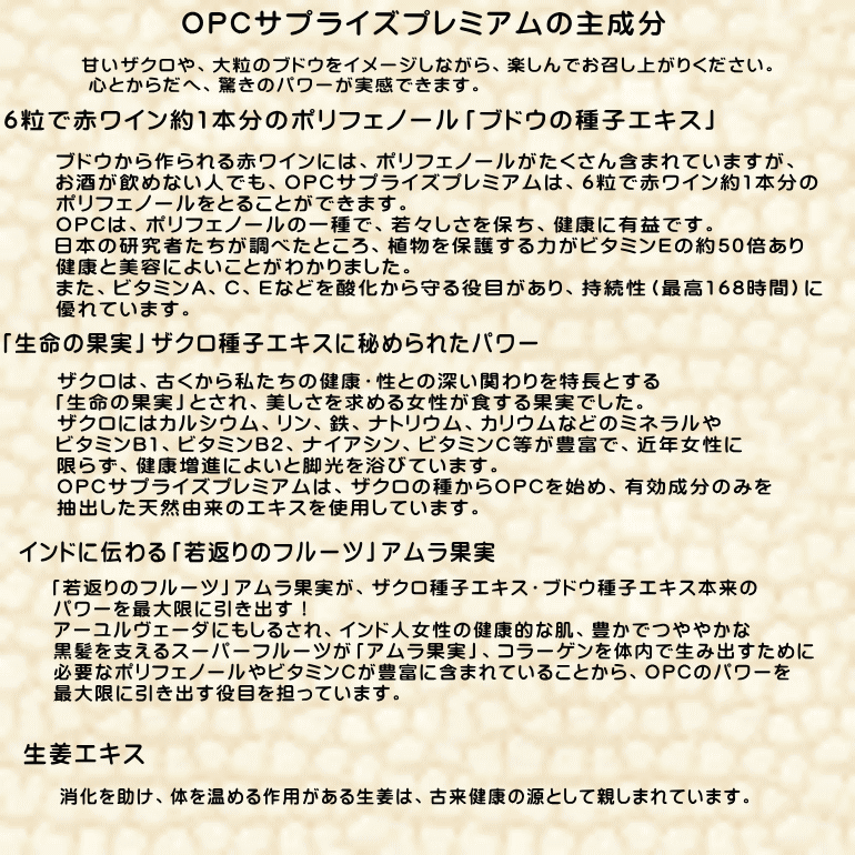 期間限定で特別価格 ＯＰＣサプライズ プレミアム1瓶360粒