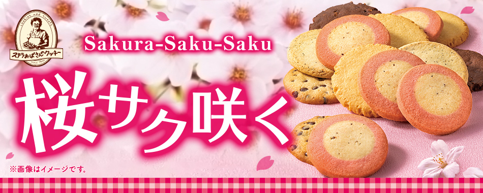 ステラおばさんのクッキー - 2026 桜フェア｜Yahoo!ショッピング