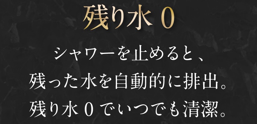 オーラテック ピュアブル シャワーヘッド