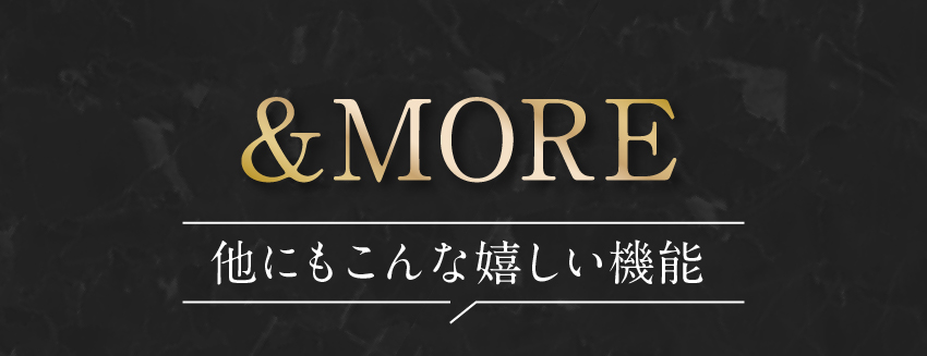 オーラテック ピュアブル シャワーヘッド