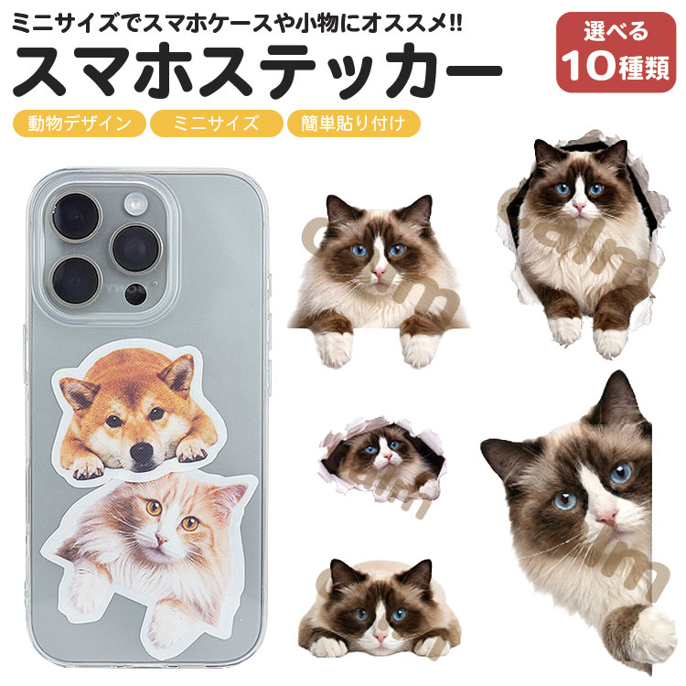 猫 ステッカー スマホステッカー ラグドール かわいい 動物 デコシール
