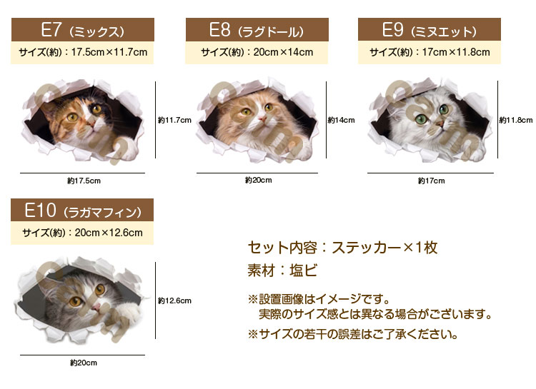猫 ステッカー ミックス 穴から覗き見る猫 かわいい 動物 アニマル