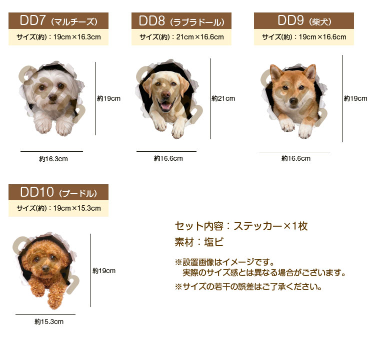 犬 ステッカー 両面印刷 ポメラニアン 穴から飛び出る犬 ガラス 装飾
