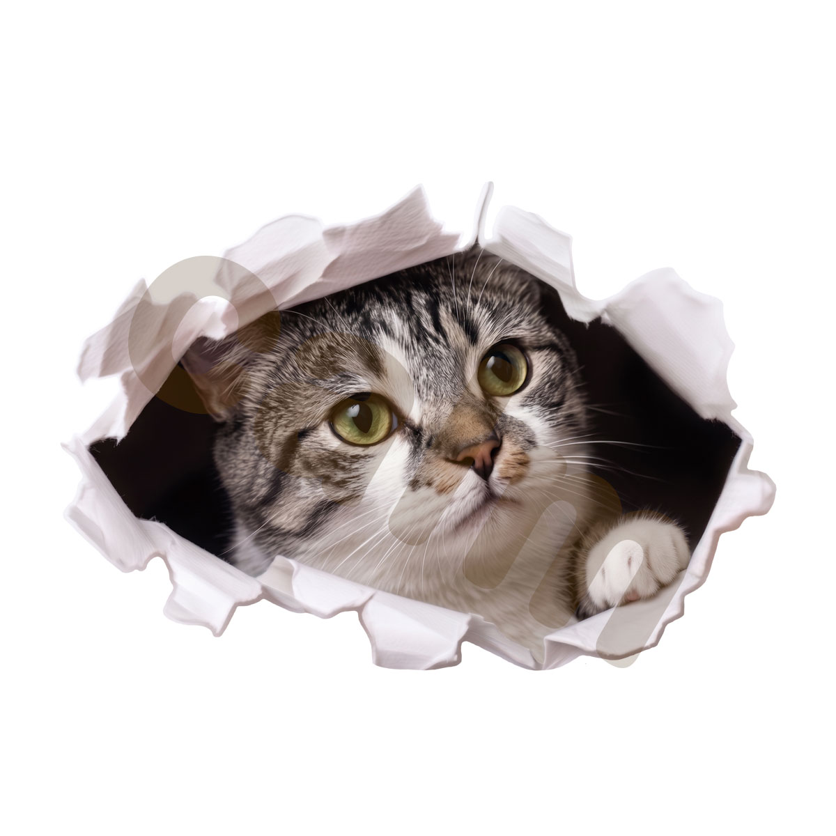 猫 ステッカー ミックス 穴から覗き見る猫 かわいい 動物 アニマル