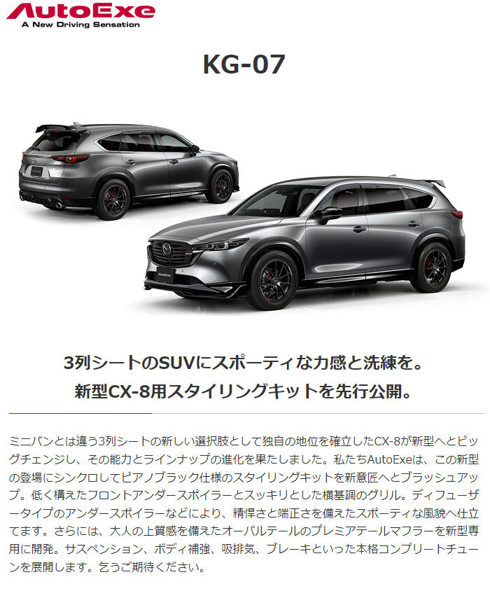 AutoExe オートエクゼ KG-07 フロントグリル CX-8 KG2P 車体番号