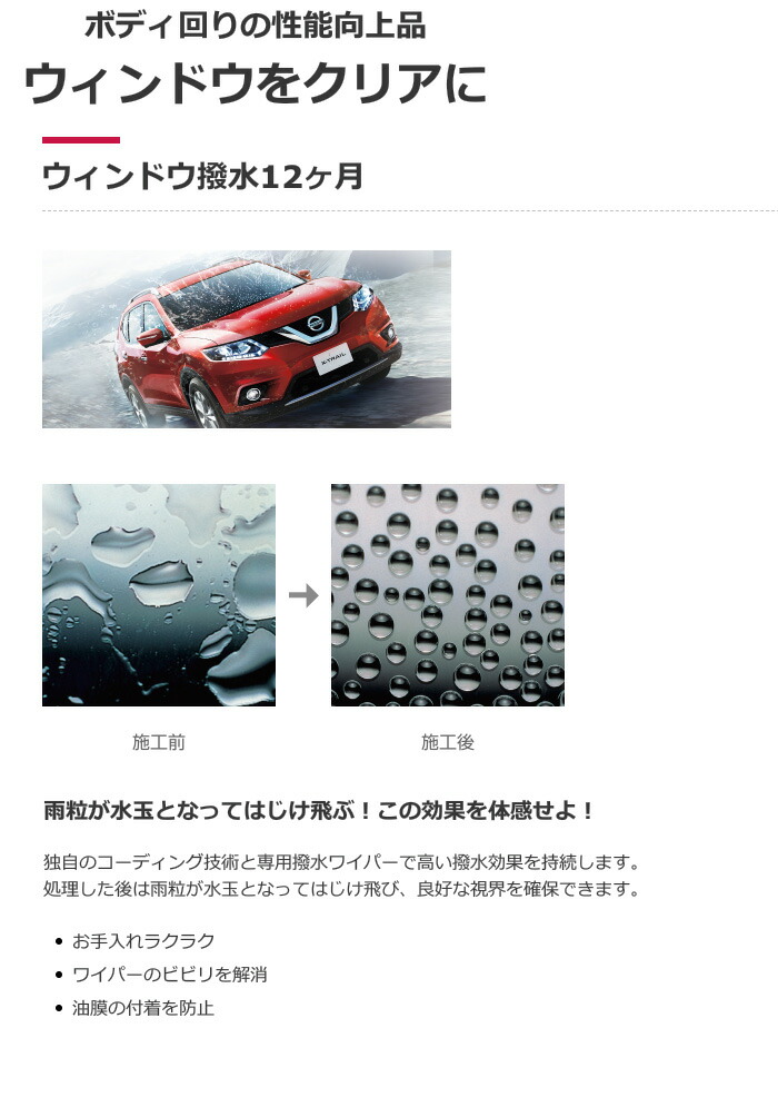 PITWORK ピットワーク ウィンドウ撥水 12ヶ月 撥水剤 【40ml(約