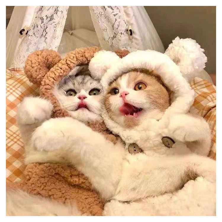 市場 ペット 帽子 犬 ペット用品 サンサン 猫 かわいい ハット ドッグ