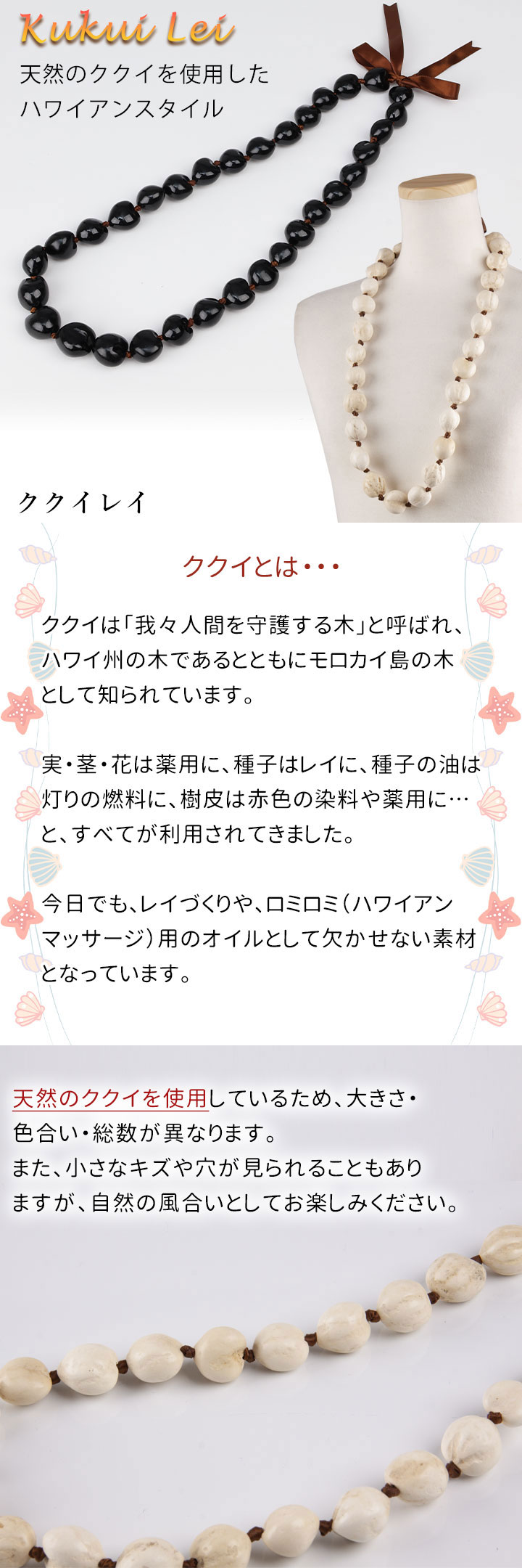 【フラダンス】ククイレイ【アビバーレ】