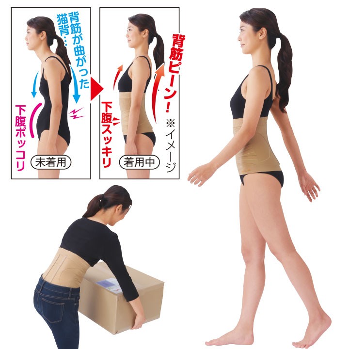 メイダイ 即納☆ 美姿勢サポーター LL〜3L 3L〜4L Z1167 医学博士監修