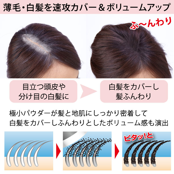 818円 人気新品 増毛パウダー 薄毛カバー利尻と椿のPONヘアーパウダー 白髪