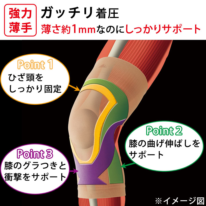 インヴェル　膝サポーター　2枚 菊池式 ひざ曲げひざ楽いきいきサポーター 2枚組 Z1798 ひざ
