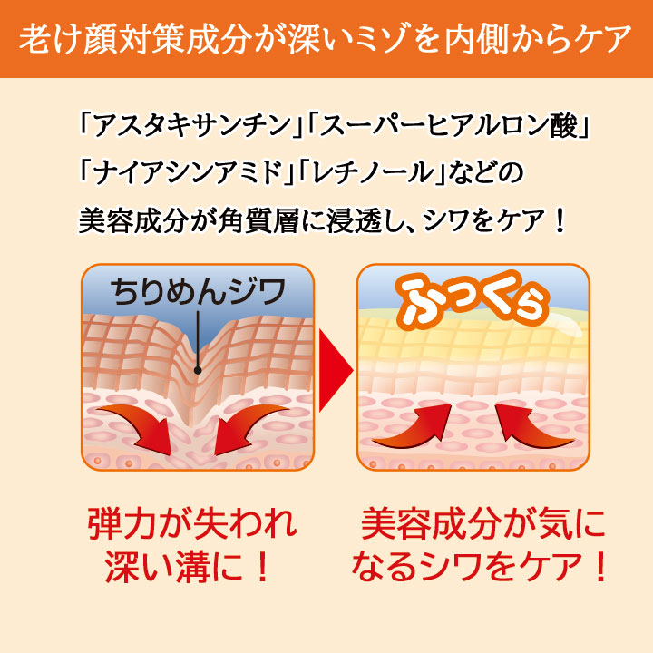 リップラインピュア プレミアム [Z3017] リップバーム リップケア