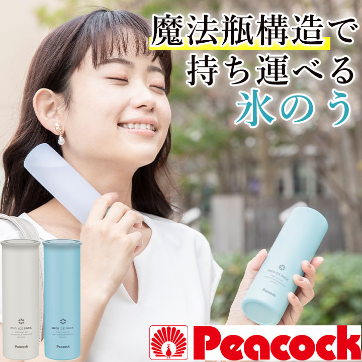 値下げ！氷風マルチクーラー　温風も出せる　専用アイスパック付き SNS・ネットで話題／ ミニアイスパック（保冷氷のう） [Z3250