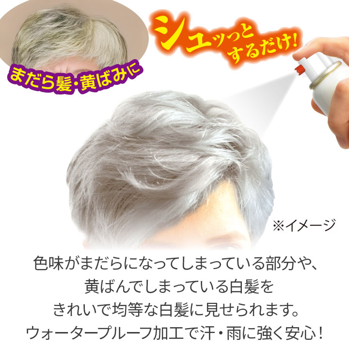 ふんわりヘアカラー シルバー 極 [Z3291] グレーヘア グレイヘア
