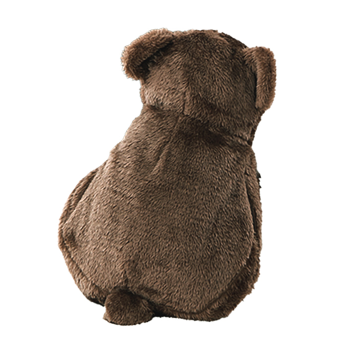 即納☆ 送料無料 在庫限り 蓄熱式湯たんぽ ぽかにゃん ぽかベア ぽか