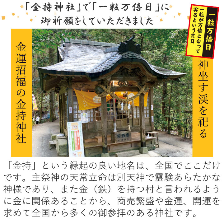 金運黄金縁起物 馬 [Z3357] 干支 縁起物 午年 置物 インテリア 金運