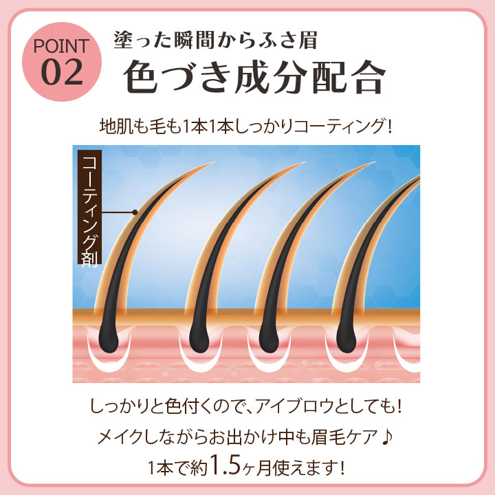 まゆげ専用美容液 眉活 [Z3362] まゆげ 眉毛 美容液 アイブロウ セラム