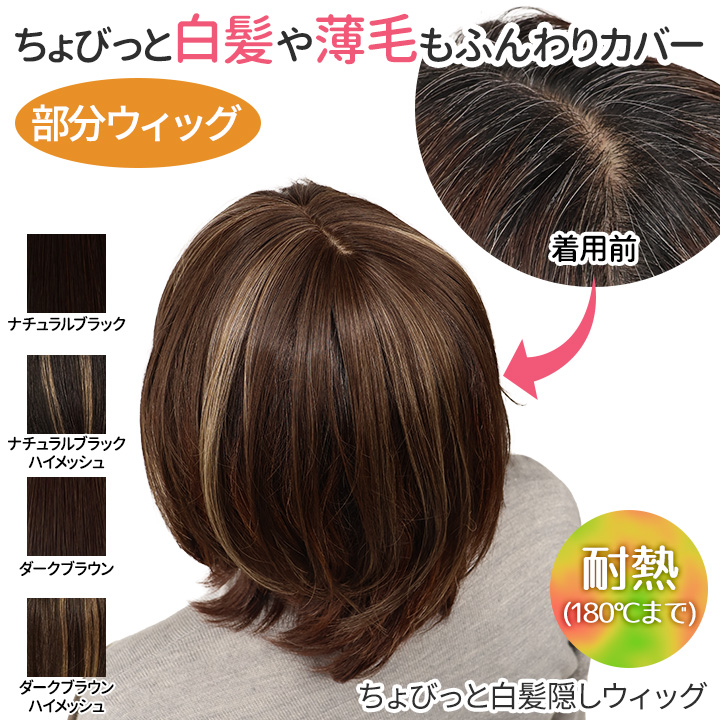 即納☆ ちょびっと白髪隠しウィッグ [Z3366] ヘアウィッグ 部分