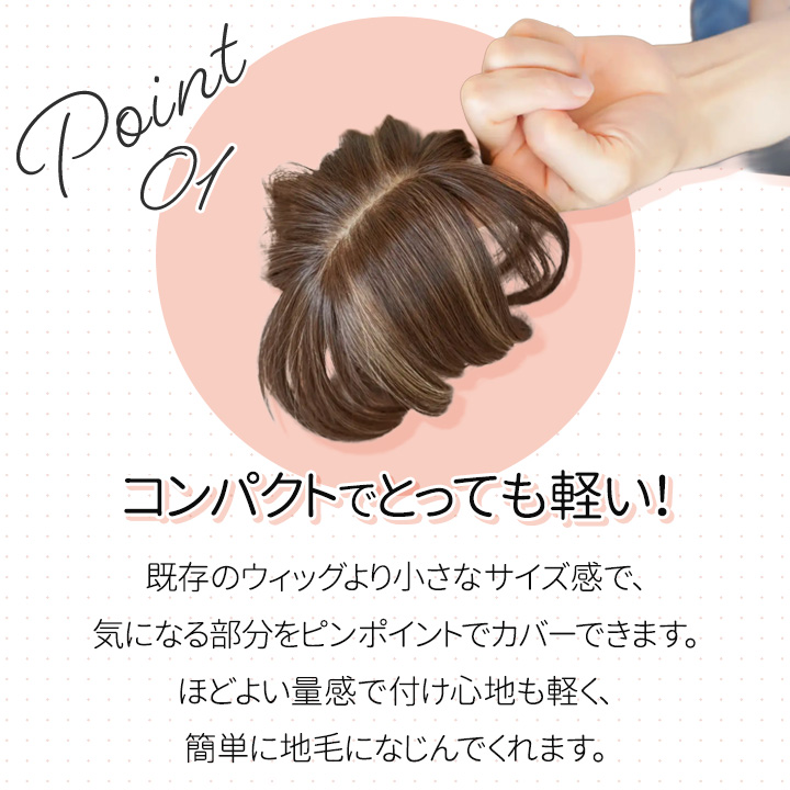 即納☆ ちょびっと白髪隠しウィッグ [Z3366] ヘアウィッグ 部分