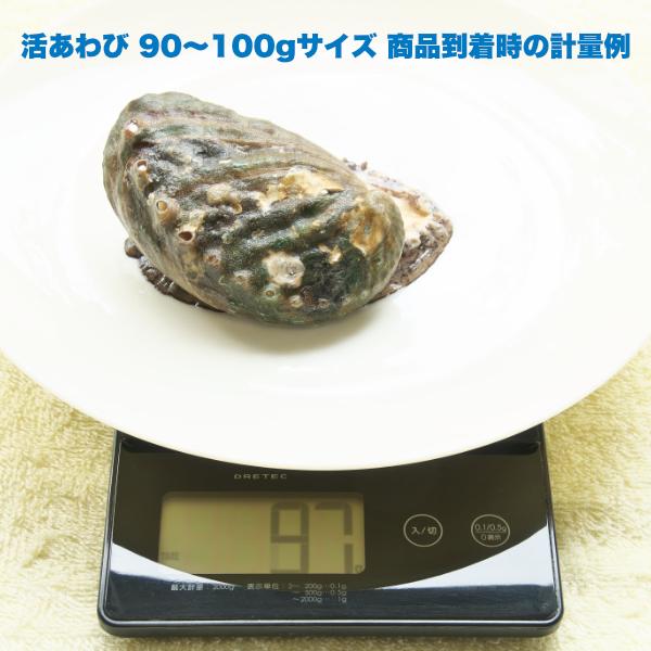 生きているから肝までお刺身品質 活あわび Lサイズ 1kg｜awabiyamarusa｜04