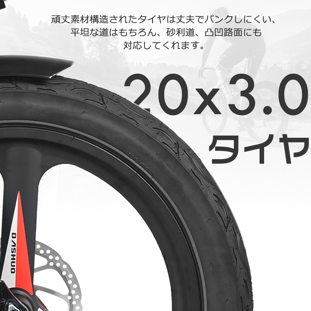 公道走行可 電動アシスト自転車【型式認定自転車】20インチ