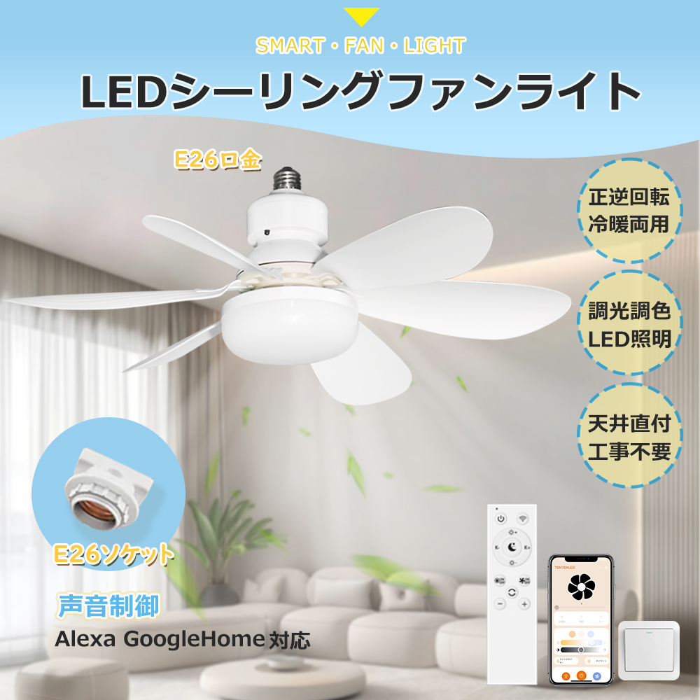 2025Խкۥ󥰥ե 饤 졼դ LED 8 10  dc⡼ Ų   ĴĴ 󥰥ե饤