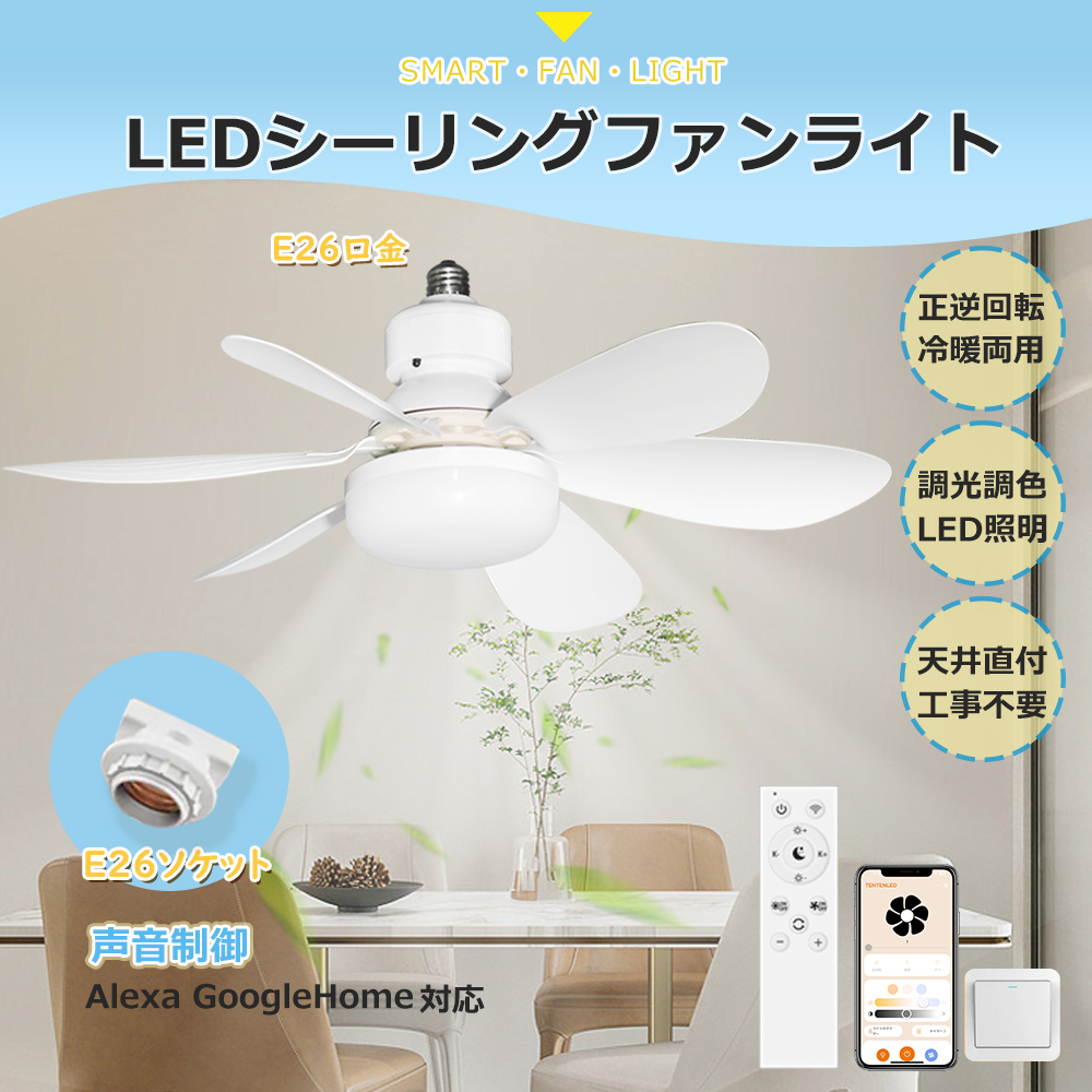 󥰥ե饤 led 8 10  dc⡼ Ų   ĴĴ 󥰥ե 饤 졼 LED  ӥ 