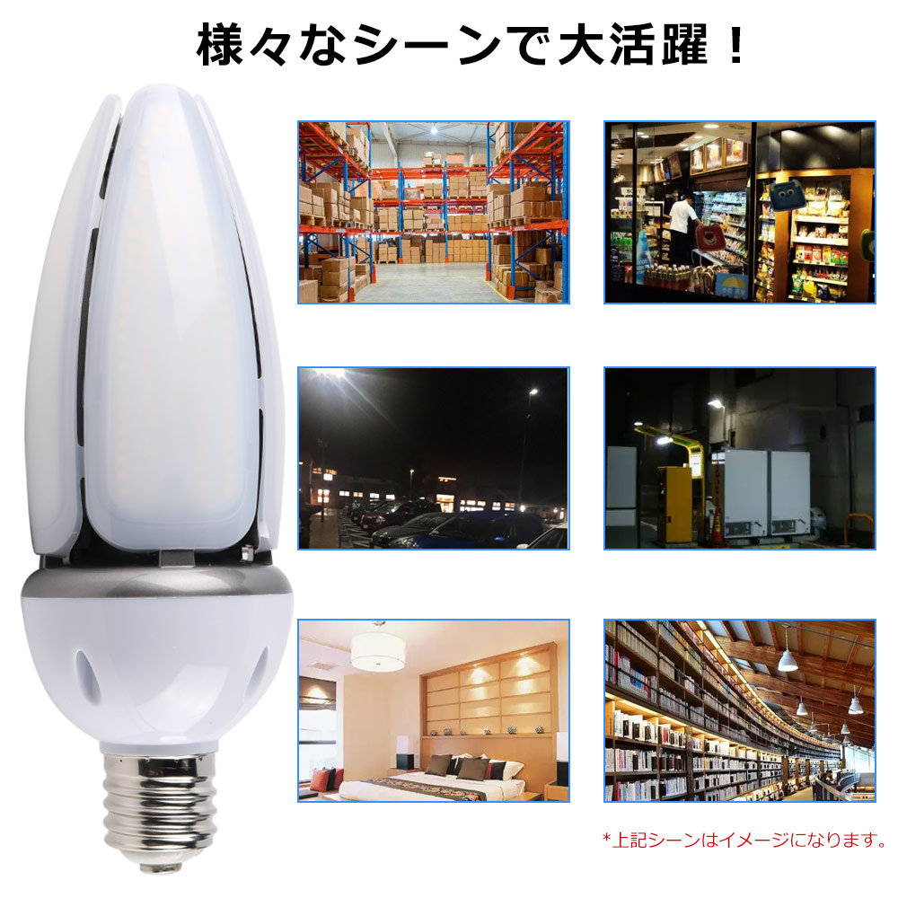 led-olive-lamp-60w-e39-zx-14.jpg