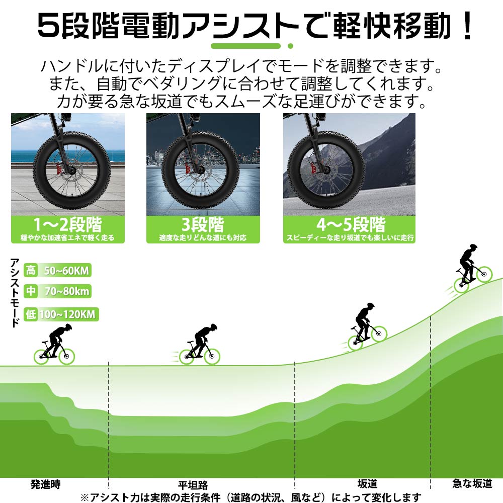クラシック電動マウンテンバイク 20インチ ファットバイク 7段変速 