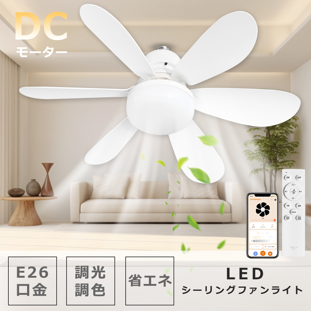 2ǯݾڡۥ󥰥ե饤 󥰥ե 6籩 ⥳դ LEDб ŷ 8 10 ĴĴ LED󥰥饤 ӥ DC⡼