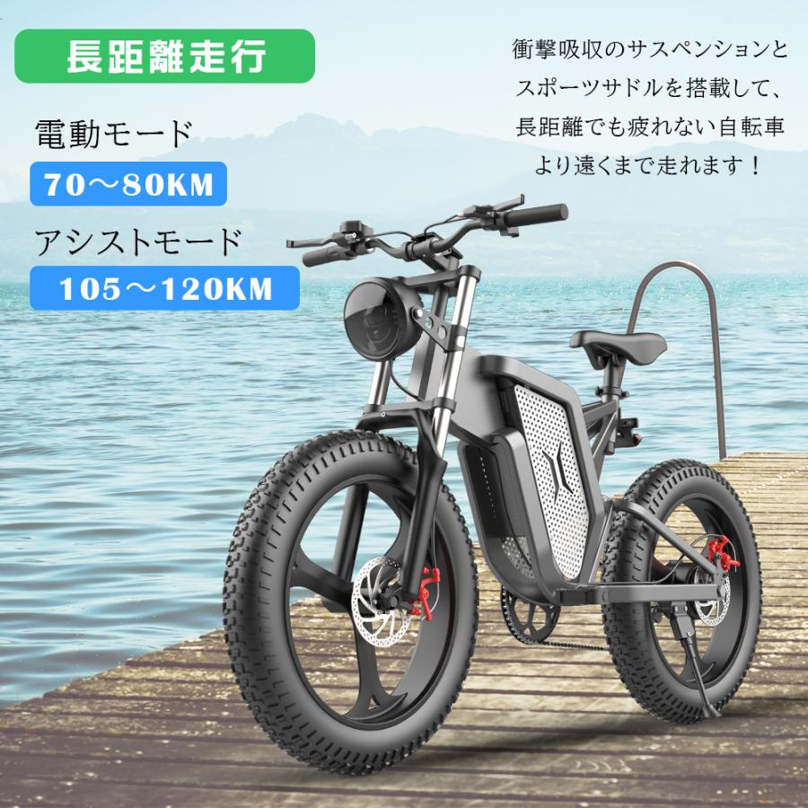 自転車 tern(ターン)2021年モデル Surge(サージュ) ROJI BIKE 47 20インチ 451ホイール 16段変速 グリーンガンメ - 3