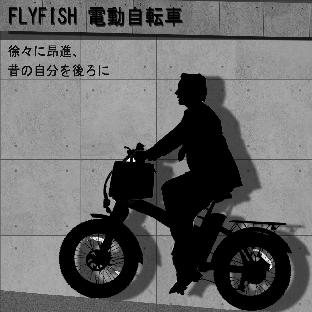 楽天1位 Flyfish電動自転車インチ 電動安い 折り畳み 自転車ブラック 電動アシスト自転車 3モードアシスト 軽量 Flyfishインチ 電動バイク メーカー直送 全商品オープニング価格特別価格 Zoetalentsolutions Com